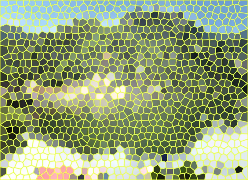 image.webp