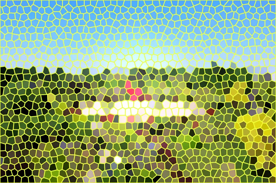 image.webp