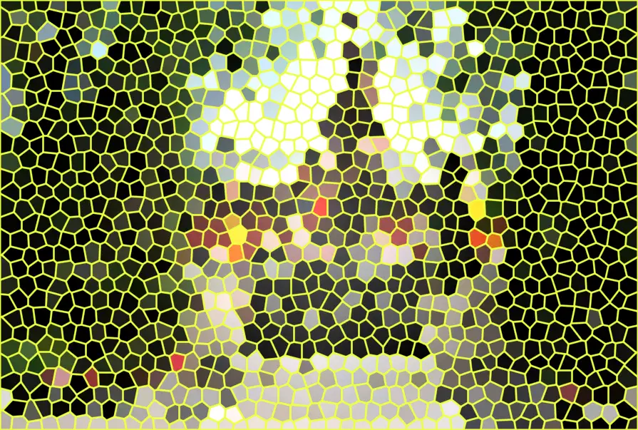 image.webp