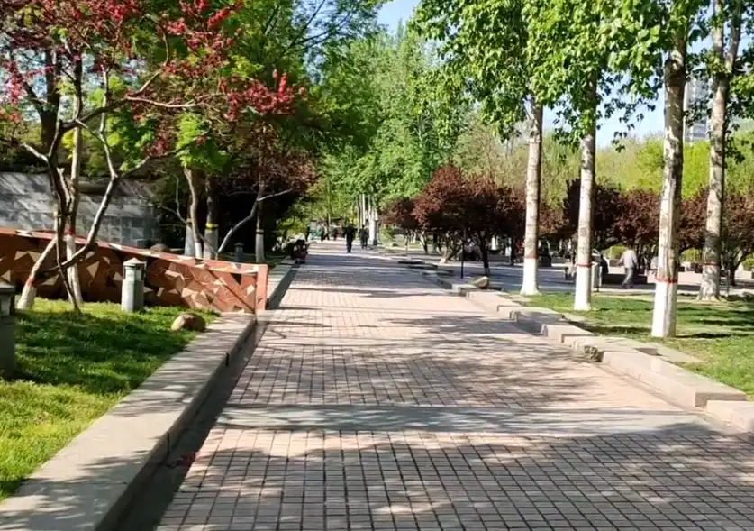 image.webp
