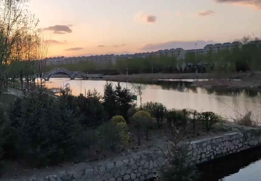 image.webp