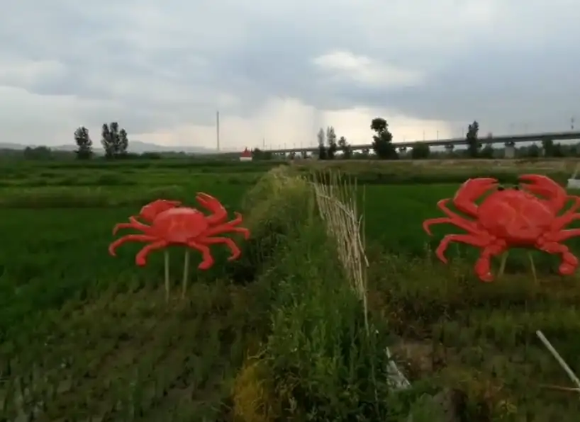 image.webp