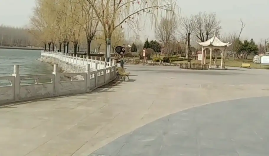 image.webp