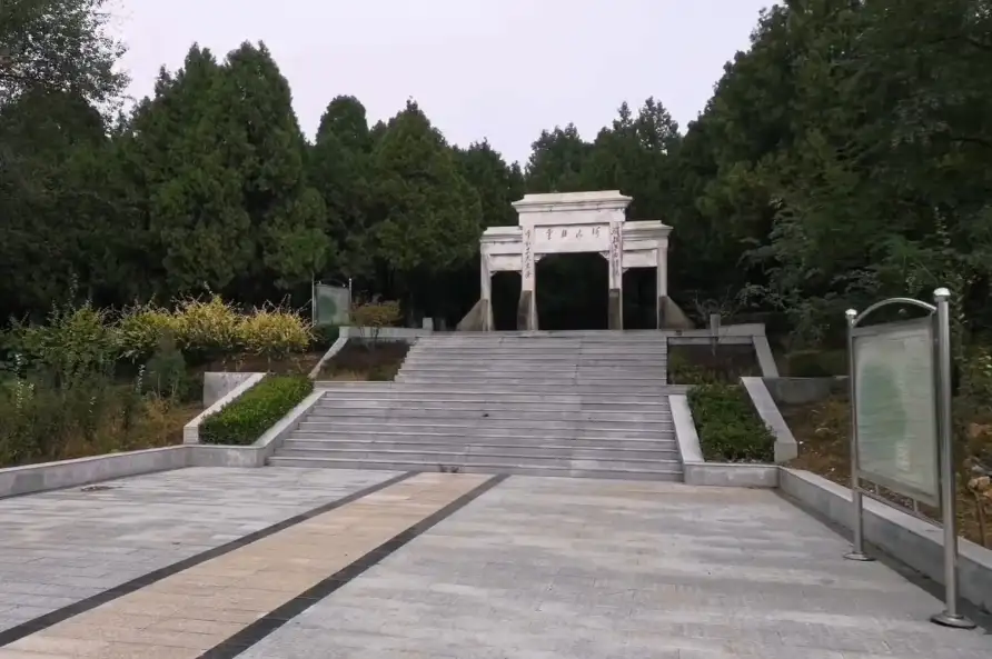 image.webp