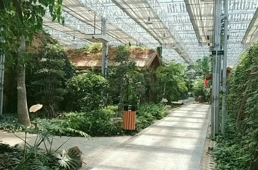 image.webp
