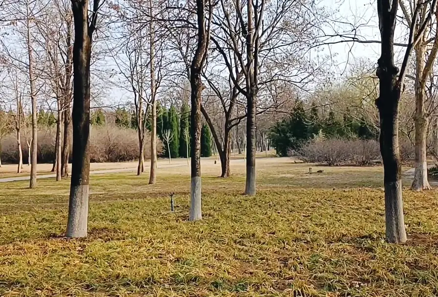 image.webp