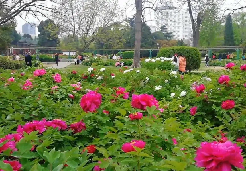 image.webp