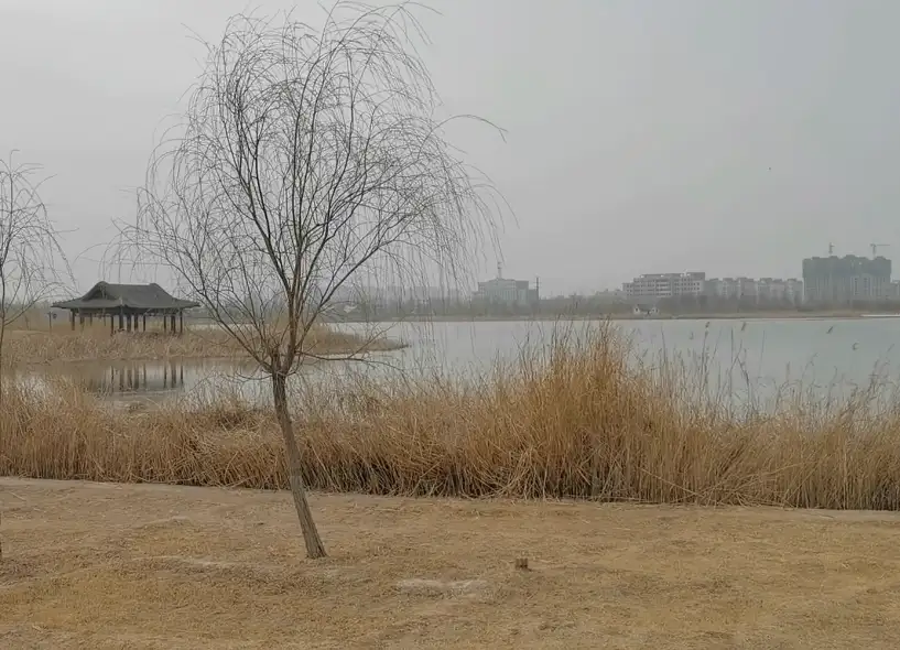 image.webp