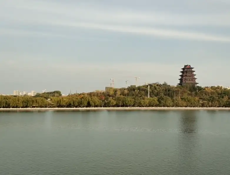 image.webp