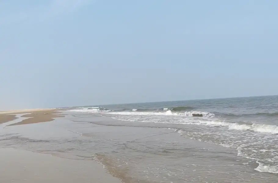 image.webp