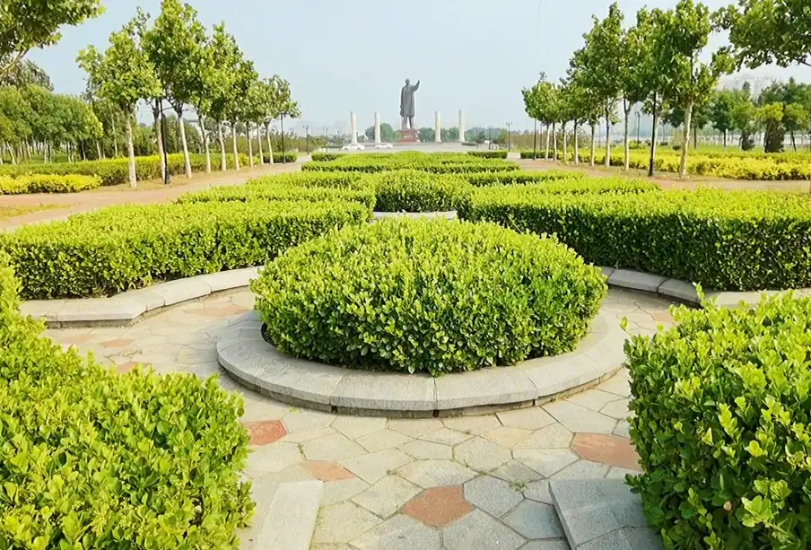 image.webp
