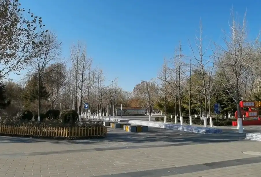 image.webp