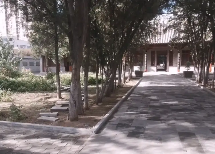 image.webp