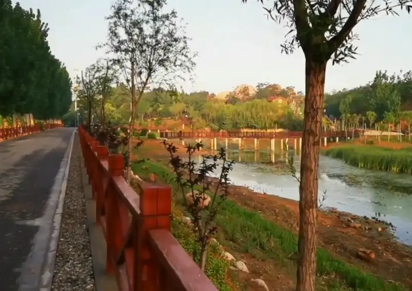 image.webp