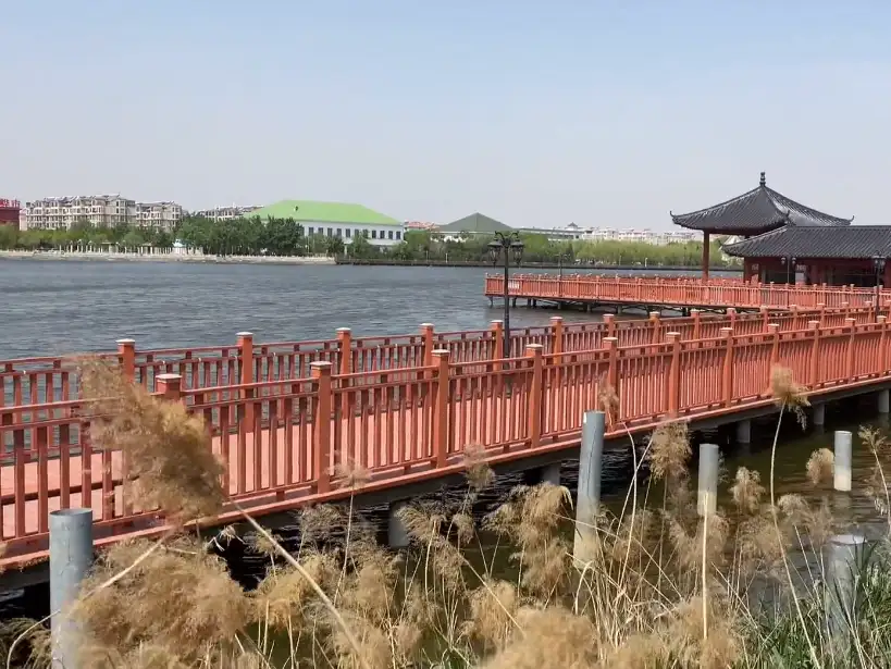 image.webp
