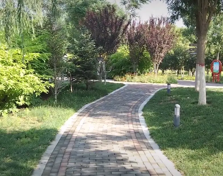 image.webp