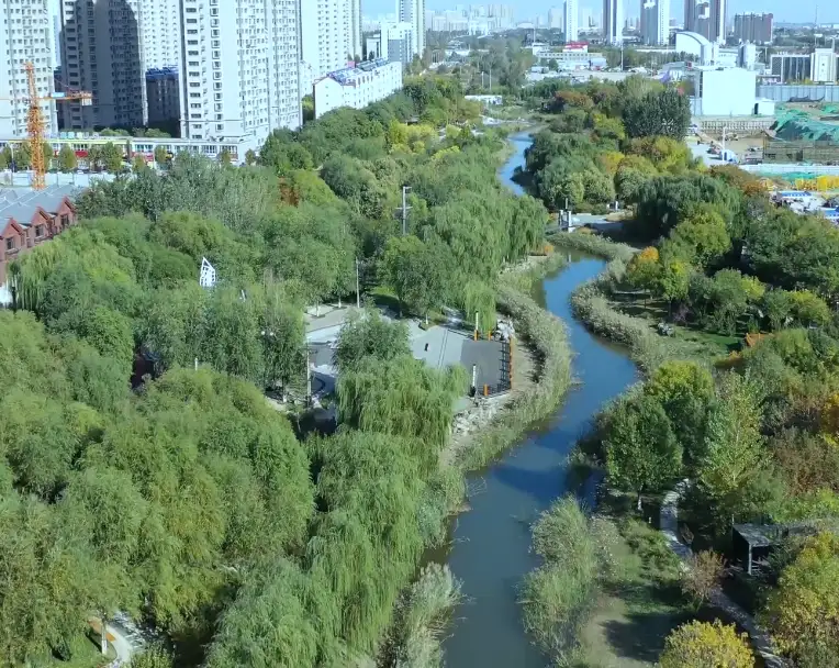image.webp