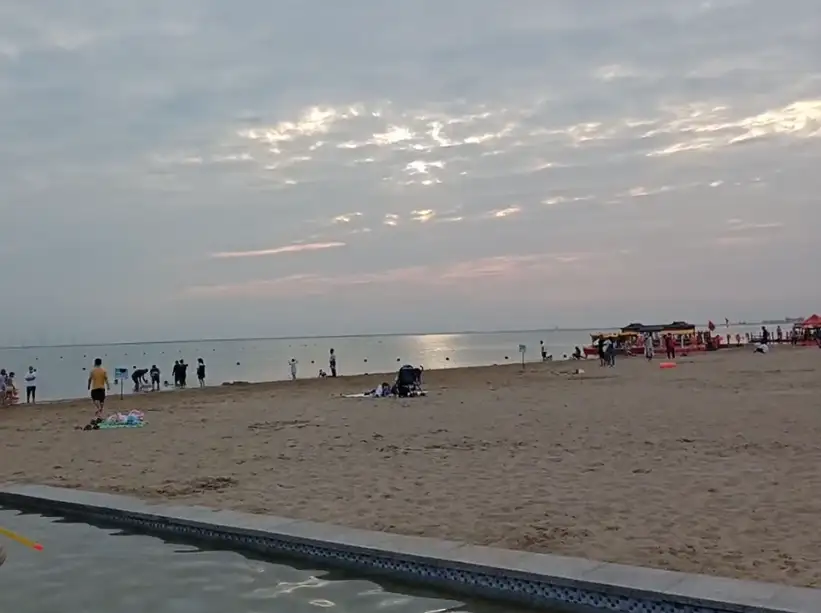 image.webp
