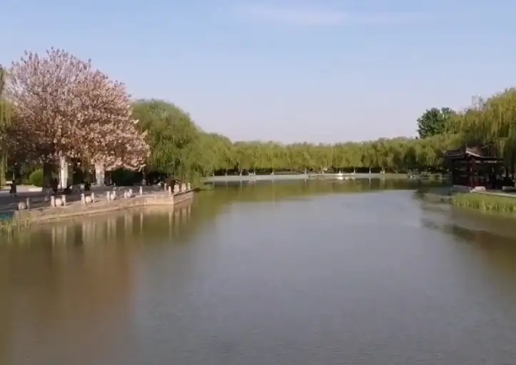 image.webp