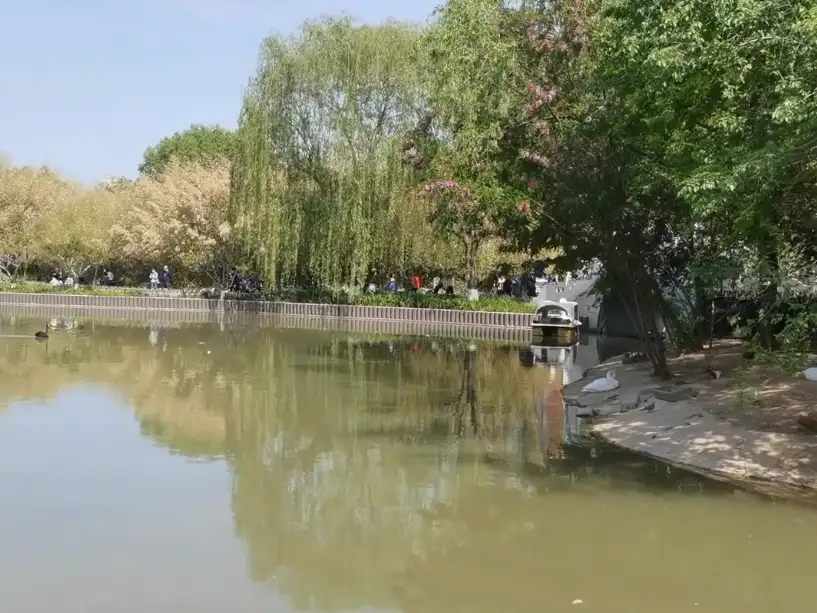 image.webp