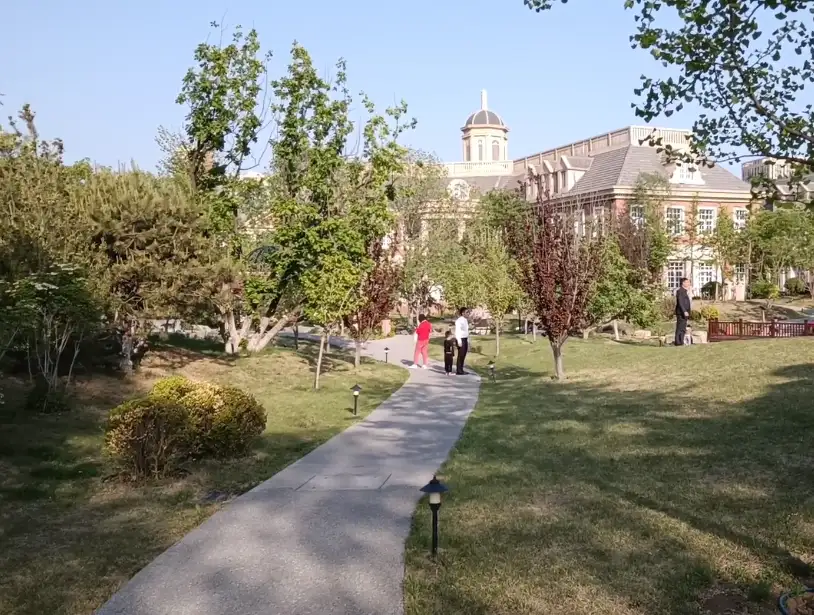 image.webp